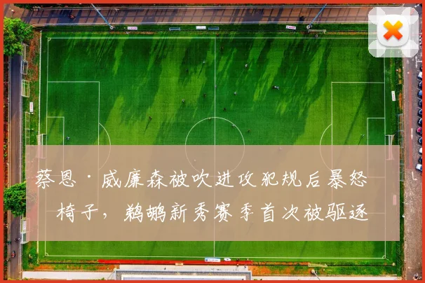 蔡恩·威廉森被吹进攻犯规后暴怒砸椅子,鹈鹕新秀赛季首次被驱逐